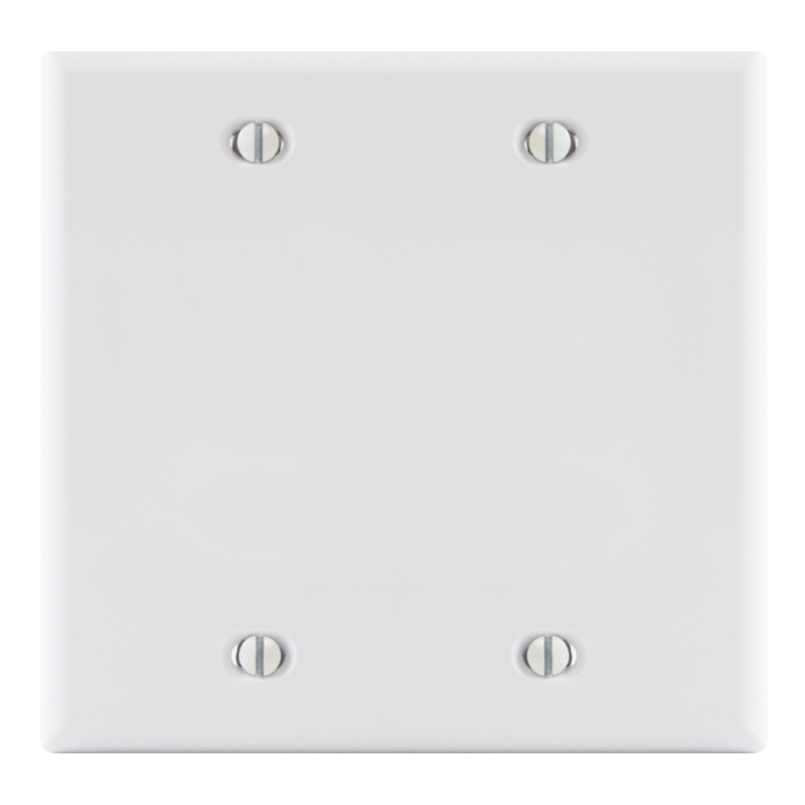 ICC Flush Wall Plate Blank – Double Gang, Standard Size, Durable Thermoplastic Construction