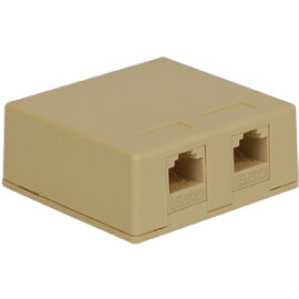 Surface Mount Box Keystone Jack with 2 CAT 5e in 8P8C for EZ